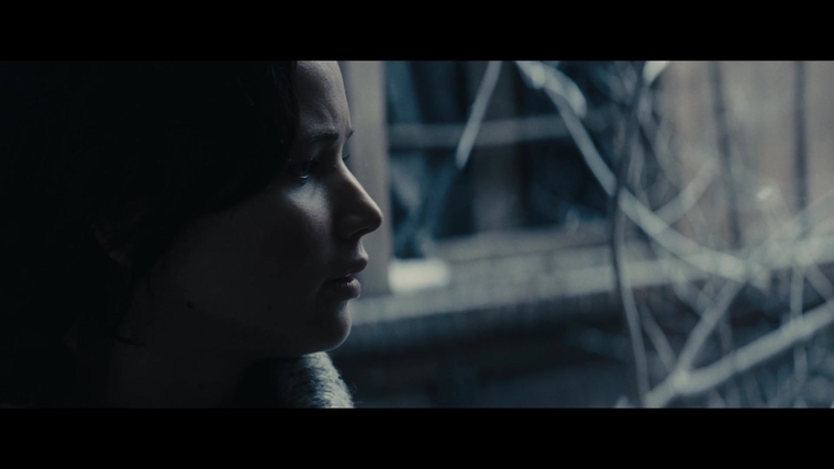 The_Hunger_Games_Catching_Fire_2013_1080p_BluRay_x264_AAC_-_Ozlem_00357.jpg