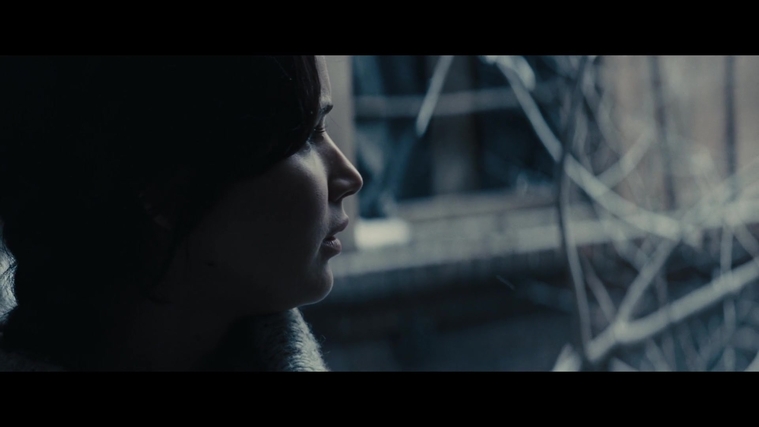 The_Hunger_Games_Catching_Fire_2013_1080p_BluRay_x264_AAC_-_Ozlem_00358.jpg