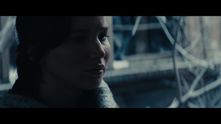 The_Hunger_Games_Catching_Fire_2013_1080p_BluRay_x264_AAC_-_Ozlem_00367.jpg