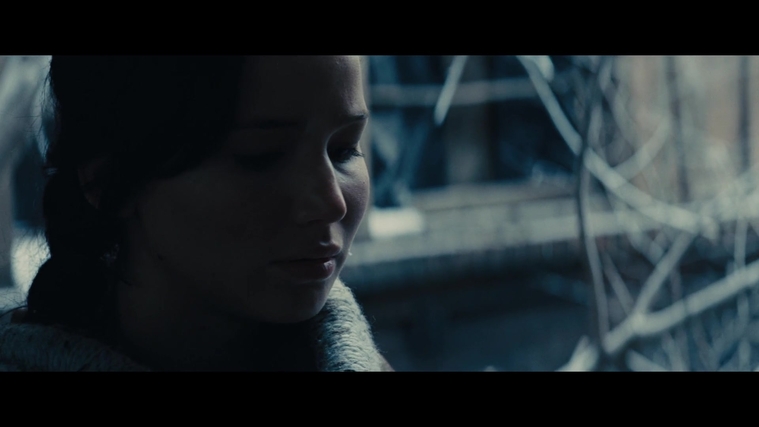 The_Hunger_Games_Catching_Fire_2013_1080p_BluRay_x264_AAC_-_Ozlem_00368.jpg