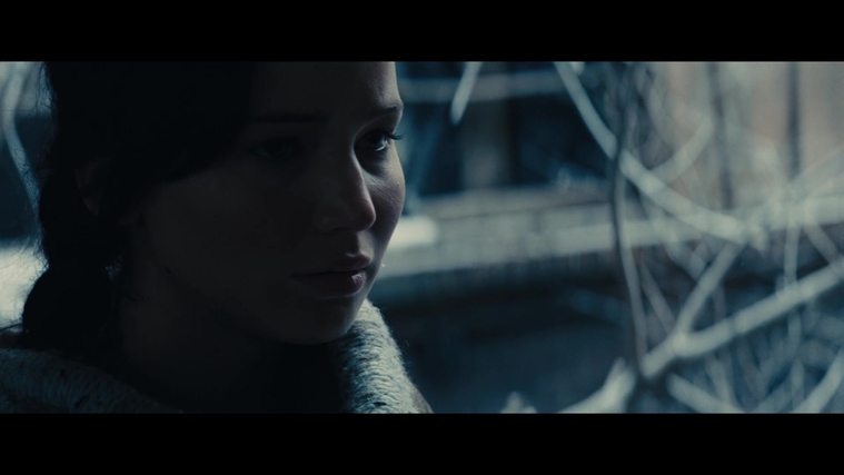 The_Hunger_Games_Catching_Fire_2013_1080p_BluRay_x264_AAC_-_Ozlem_00369.jpg