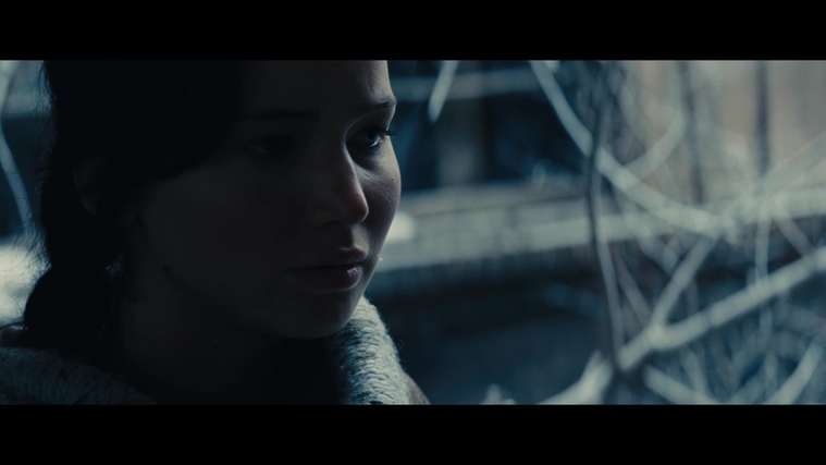 The_Hunger_Games_Catching_Fire_2013_1080p_BluRay_x264_AAC_-_Ozlem_00370.jpg