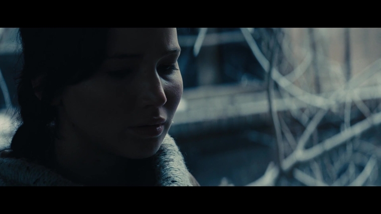The_Hunger_Games_Catching_Fire_2013_1080p_BluRay_x264_AAC_-_Ozlem_00371.jpg