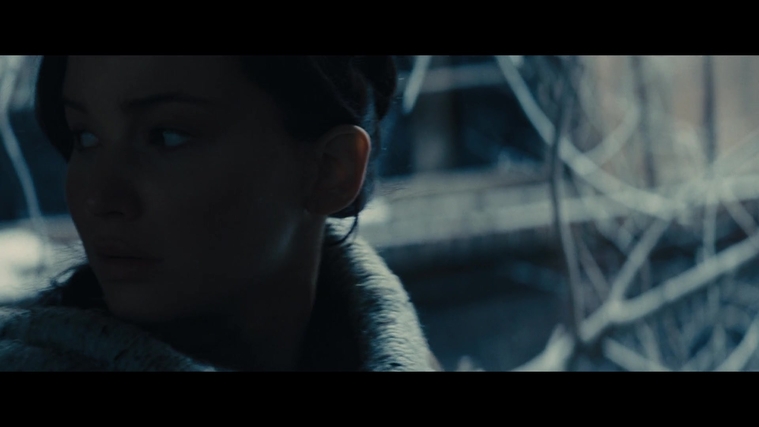 The_Hunger_Games_Catching_Fire_2013_1080p_BluRay_x264_AAC_-_Ozlem_00372.jpg