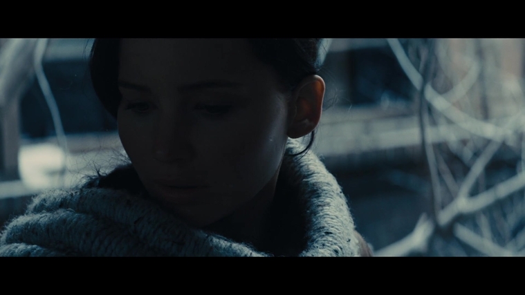 The_Hunger_Games_Catching_Fire_2013_1080p_BluRay_x264_AAC_-_Ozlem_00375.jpg