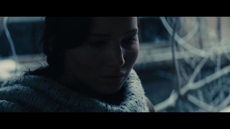 The_Hunger_Games_Catching_Fire_2013_1080p_BluRay_x264_AAC_-_Ozlem_00376.jpg