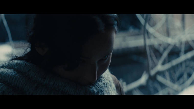 The_Hunger_Games_Catching_Fire_2013_1080p_BluRay_x264_AAC_-_Ozlem_00378.jpg