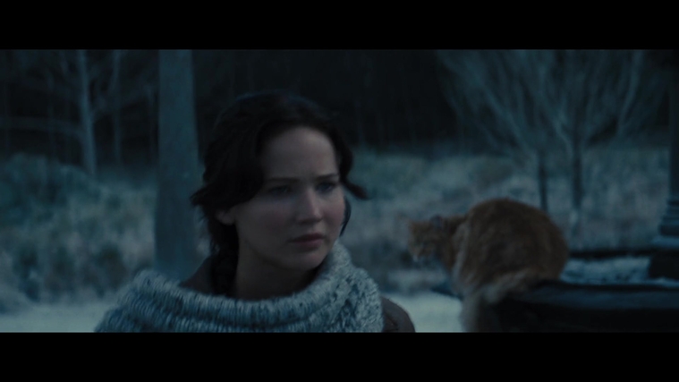 The_Hunger_Games_Catching_Fire_2013_1080p_BluRay_x264_AAC_-_Ozlem_00391.jpg