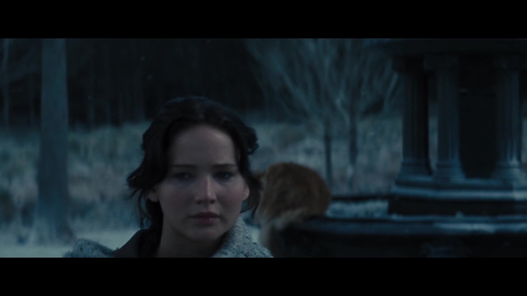 The_Hunger_Games_Catching_Fire_2013_1080p_BluRay_x264_AAC_-_Ozlem_00392.jpg