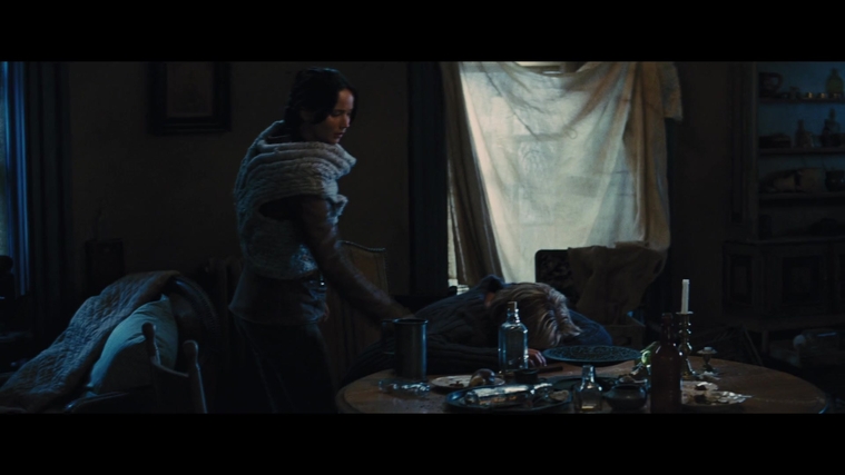 The_Hunger_Games_Catching_Fire_2013_1080p_BluRay_x264_AAC_-_Ozlem_00416.jpg