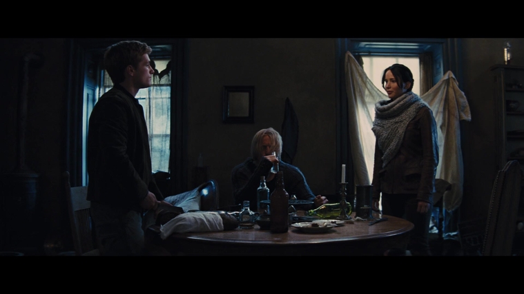 The_Hunger_Games_Catching_Fire_2013_1080p_BluRay_x264_AAC_-_Ozlem_00474.jpg