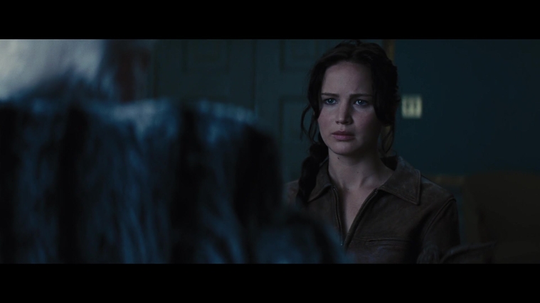 The_Hunger_Games_Catching_Fire_2013_1080p_BluRay_x264_AAC_-_Ozlem_00658.jpg