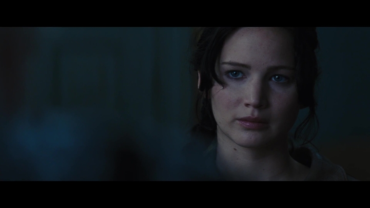 The_Hunger_Games_Catching_Fire_2013_1080p_BluRay_x264_AAC_-_Ozlem_00701.jpg