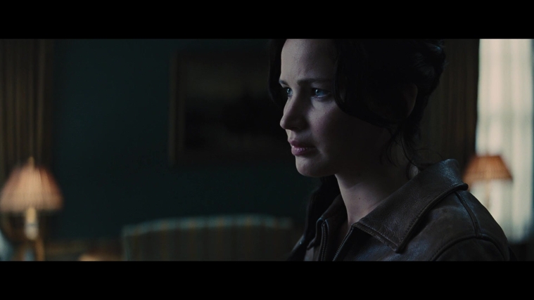 The_Hunger_Games_Catching_Fire_2013_1080p_BluRay_x264_AAC_-_Ozlem_00758.jpg