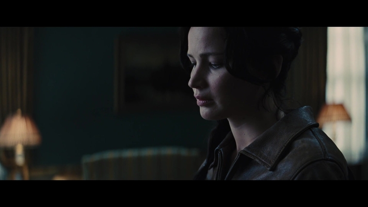 The_Hunger_Games_Catching_Fire_2013_1080p_BluRay_x264_AAC_-_Ozlem_00760.jpg