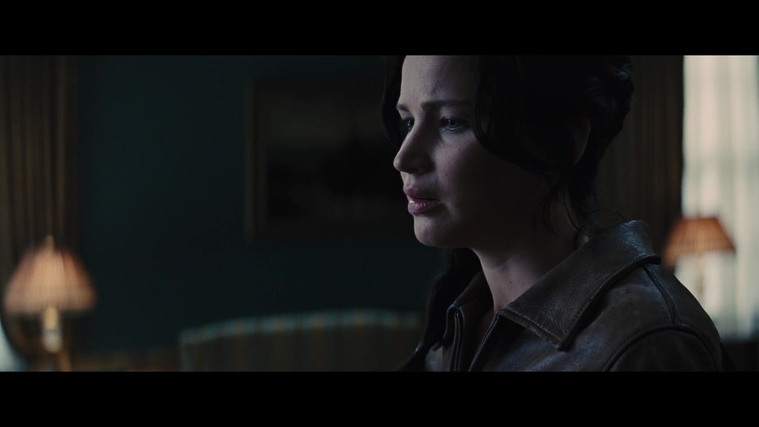 The_Hunger_Games_Catching_Fire_2013_1080p_BluRay_x264_AAC_-_Ozlem_00765.jpg