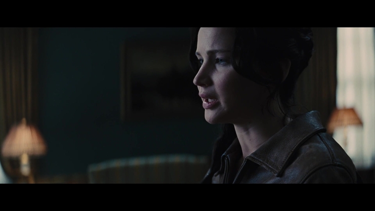 The_Hunger_Games_Catching_Fire_2013_1080p_BluRay_x264_AAC_-_Ozlem_00767.jpg