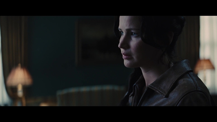 The_Hunger_Games_Catching_Fire_2013_1080p_BluRay_x264_AAC_-_Ozlem_00782.jpg
