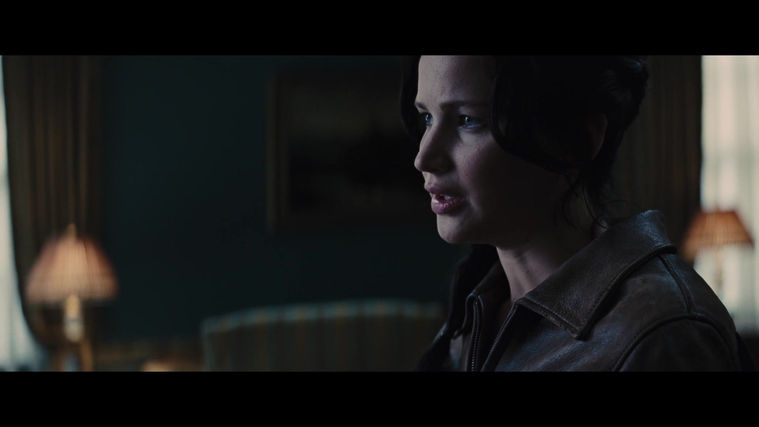 The_Hunger_Games_Catching_Fire_2013_1080p_BluRay_x264_AAC_-_Ozlem_00785.jpg