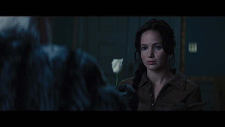 The_Hunger_Games_Catching_Fire_2013_1080p_BluRay_x264_AAC_-_Ozlem_00820.jpg