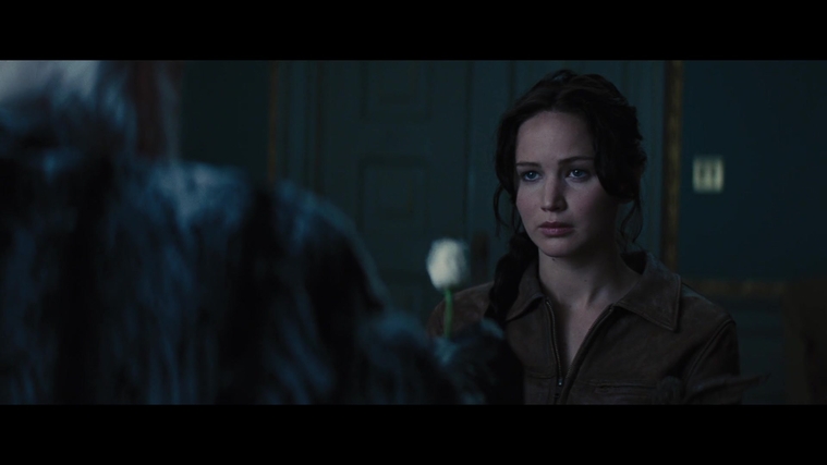 The_Hunger_Games_Catching_Fire_2013_1080p_BluRay_x264_AAC_-_Ozlem_00821.jpg