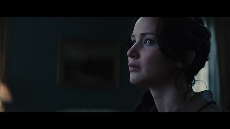 The_Hunger_Games_Catching_Fire_2013_1080p_BluRay_x264_AAC_-_Ozlem_00831.jpg