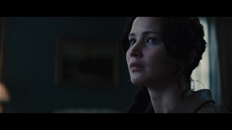 The_Hunger_Games_Catching_Fire_2013_1080p_BluRay_x264_AAC_-_Ozlem_00832.jpg