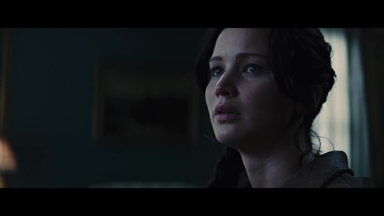 The_Hunger_Games_Catching_Fire_2013_1080p_BluRay_x264_AAC_-_Ozlem_00833.jpg