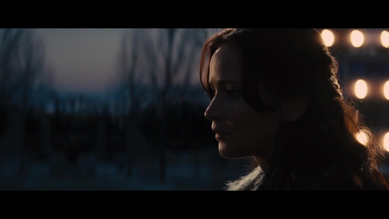 The_Hunger_Games_Catching_Fire_2013_1080p_BluRay_x264_AAC_-_Ozlem_01123.jpg
