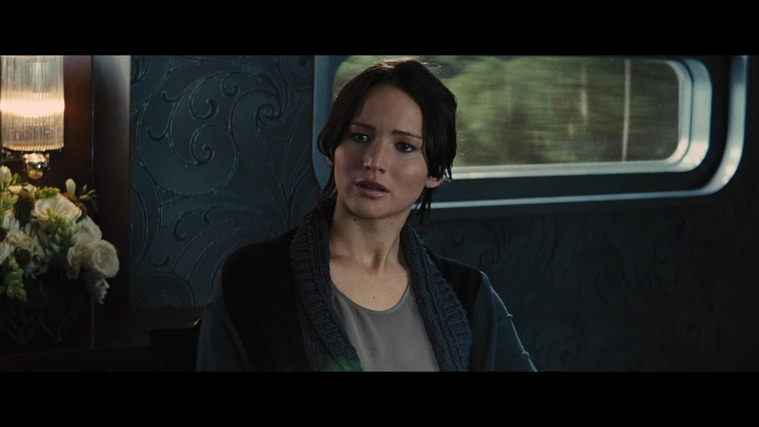 The_Hunger_Games_Catching_Fire_2013_1080p_BluRay_x264_AAC_-_Ozlem_01179.jpg