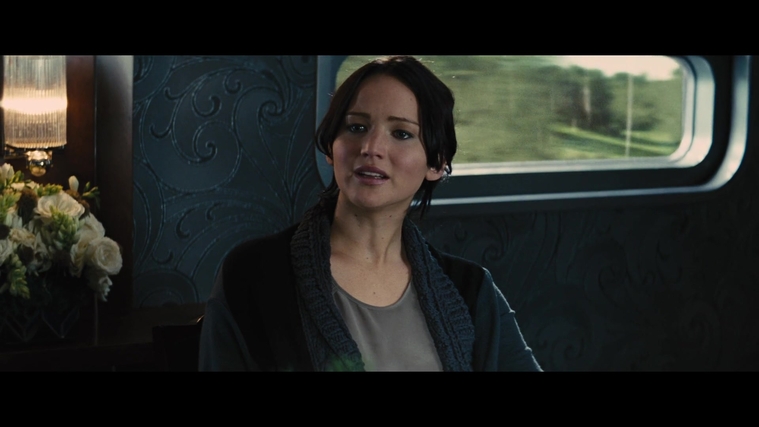 The_Hunger_Games_Catching_Fire_2013_1080p_BluRay_x264_AAC_-_Ozlem_01180.jpg