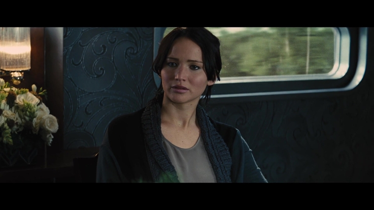 The_Hunger_Games_Catching_Fire_2013_1080p_BluRay_x264_AAC_-_Ozlem_01181.jpg