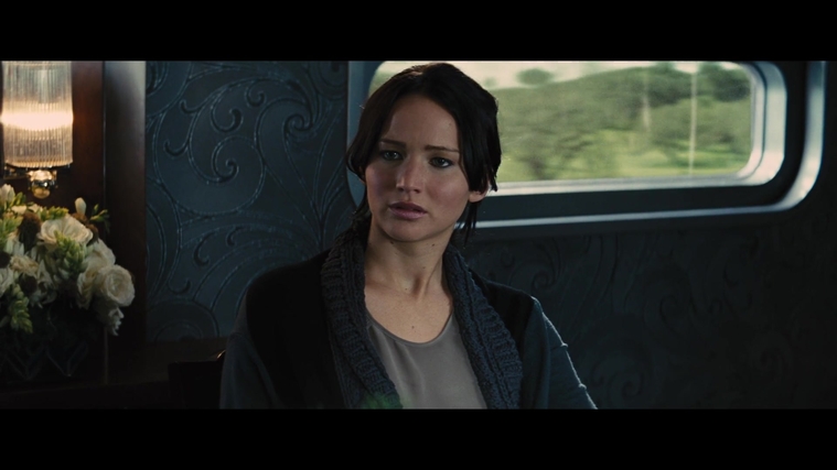 The_Hunger_Games_Catching_Fire_2013_1080p_BluRay_x264_AAC_-_Ozlem_01182.jpg