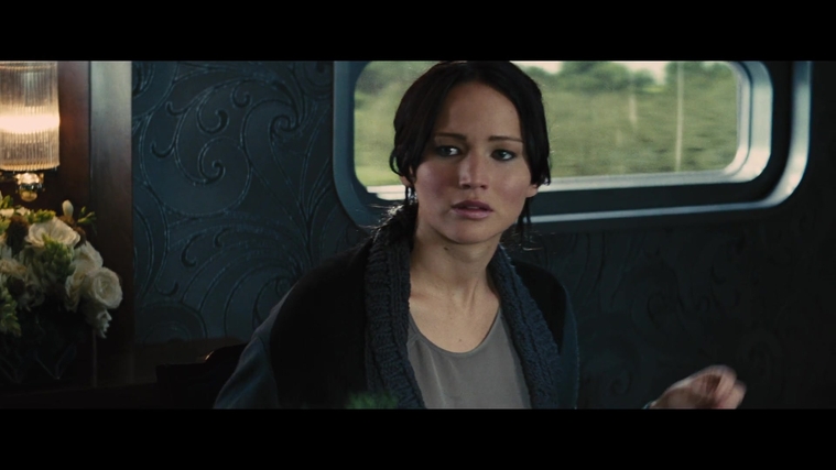 The_Hunger_Games_Catching_Fire_2013_1080p_BluRay_x264_AAC_-_Ozlem_01184.jpg