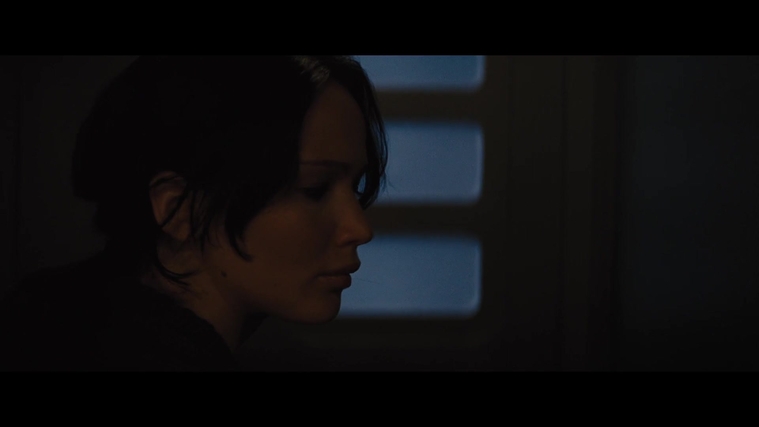 The_Hunger_Games_Catching_Fire_2013_1080p_BluRay_x264_AAC_-_Ozlem_01199.jpg