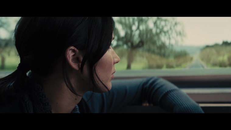 The_Hunger_Games_Catching_Fire_2013_1080p_BluRay_x264_AAC_-_Ozlem_01223.jpg