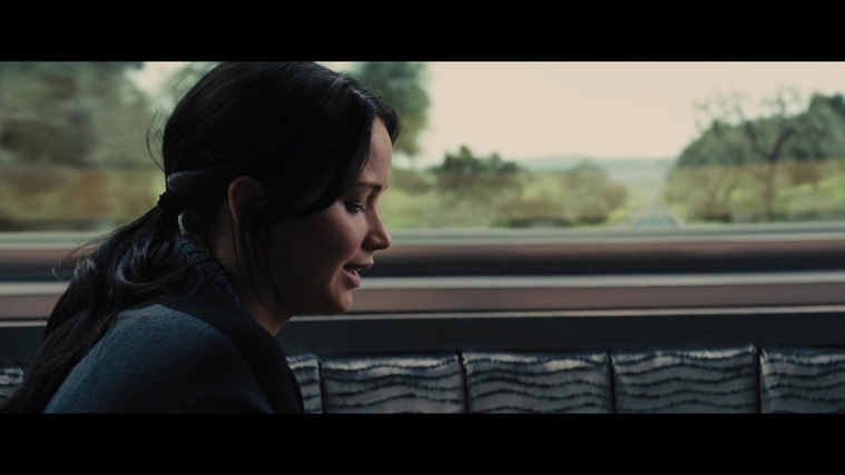 The_Hunger_Games_Catching_Fire_2013_1080p_BluRay_x264_AAC_-_Ozlem_01285.jpg