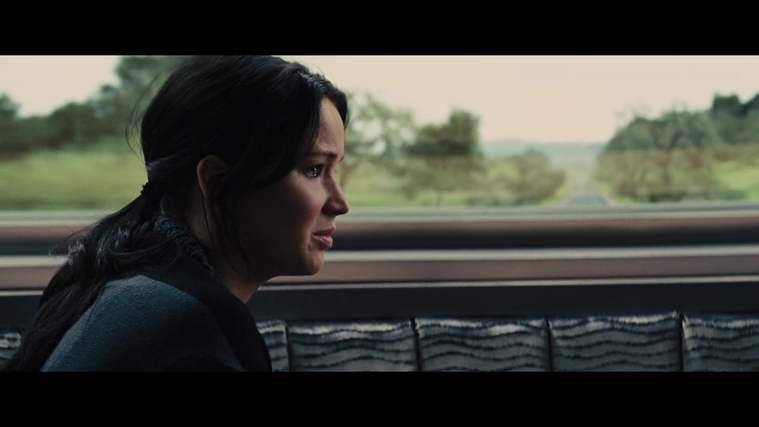 The_Hunger_Games_Catching_Fire_2013_1080p_BluRay_x264_AAC_-_Ozlem_01286.jpg