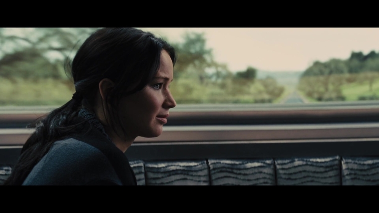 The_Hunger_Games_Catching_Fire_2013_1080p_BluRay_x264_AAC_-_Ozlem_01287.jpg