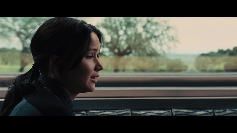 The_Hunger_Games_Catching_Fire_2013_1080p_BluRay_x264_AAC_-_Ozlem_01302.jpg
