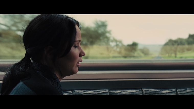 The_Hunger_Games_Catching_Fire_2013_1080p_BluRay_x264_AAC_-_Ozlem_01310.jpg