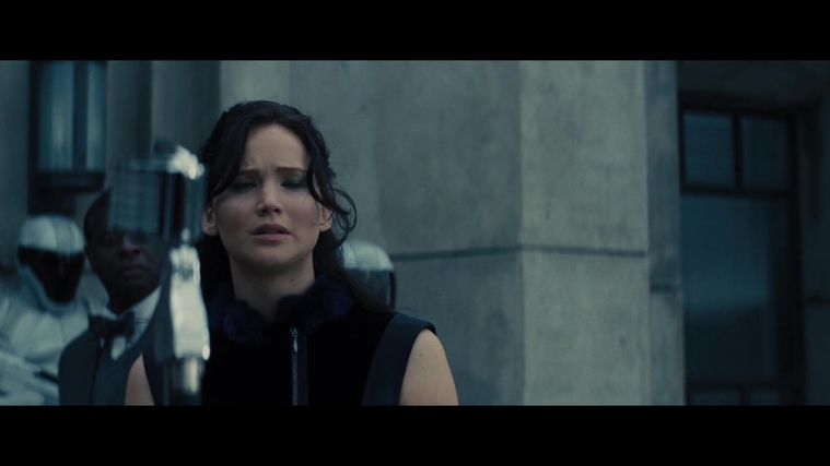 The_Hunger_Games_Catching_Fire_2013_1080p_BluRay_x264_AAC_-_Ozlem_01576.jpg