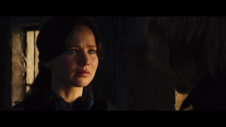 The_Hunger_Games_Catching_Fire_2013_1080p_BluRay_x264_AAC_-_Ozlem_01818.jpg