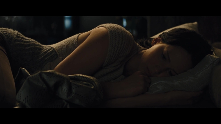 The_Hunger_Games_Catching_Fire_2013_1080p_BluRay_x264_AAC_-_Ozlem_01891.jpg