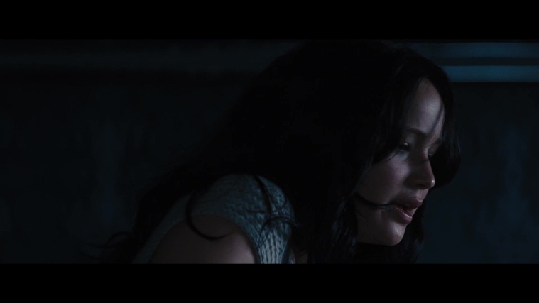 The_Hunger_Games_Catching_Fire_2013_1080p_BluRay_x264_AAC_-_Ozlem_01953.jpg