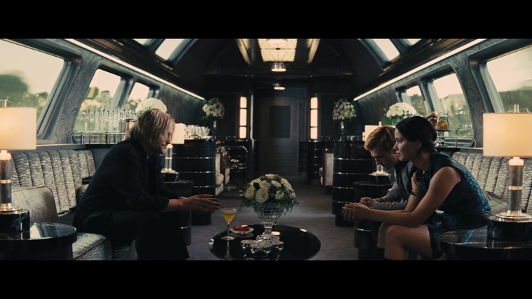The_Hunger_Games_Catching_Fire_2013_1080p_BluRay_x264_AAC_-_Ozlem_02050.jpg