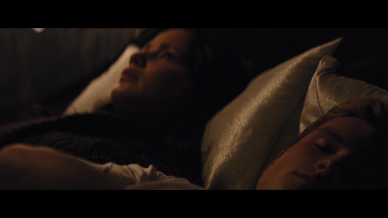 The_Hunger_Games_Catching_Fire_2013_1080p_BluRay_x264_AAC_-_Ozlem_02587.jpg