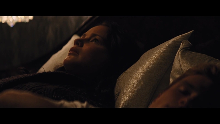 The_Hunger_Games_Catching_Fire_2013_1080p_BluRay_x264_AAC_-_Ozlem_02589.jpg