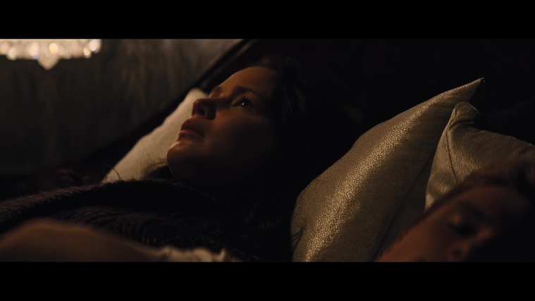 The_Hunger_Games_Catching_Fire_2013_1080p_BluRay_x264_AAC_-_Ozlem_02591.jpg