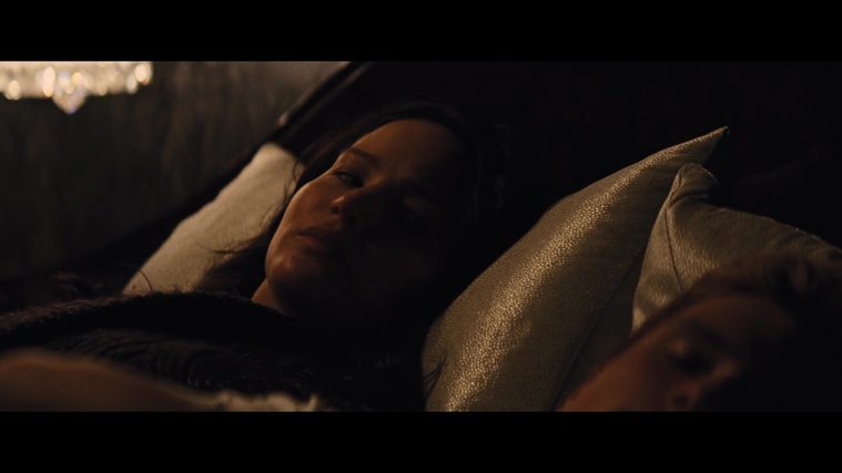 The_Hunger_Games_Catching_Fire_2013_1080p_BluRay_x264_AAC_-_Ozlem_02593.jpg